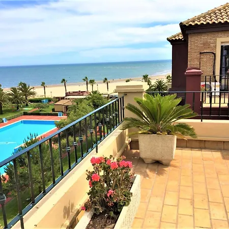 Alcaudon Apartment