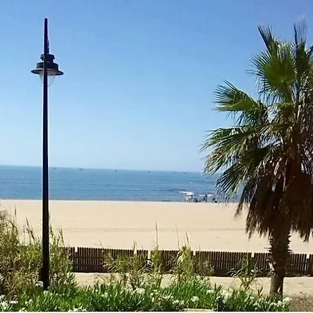 Alcaudon * Isla Canela